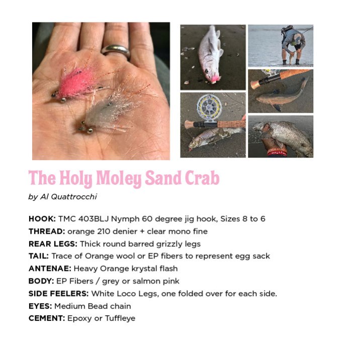 Holy_moley_sandcrab